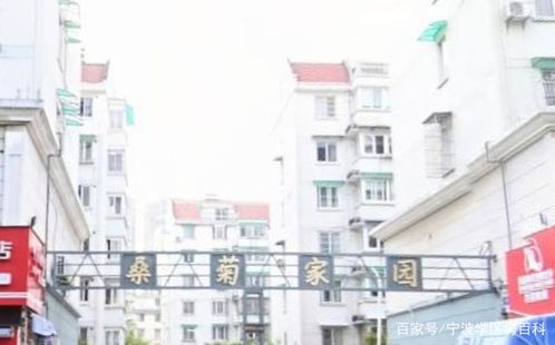 2021年宁波桑菊家园对口的小学,对口初中是哪所